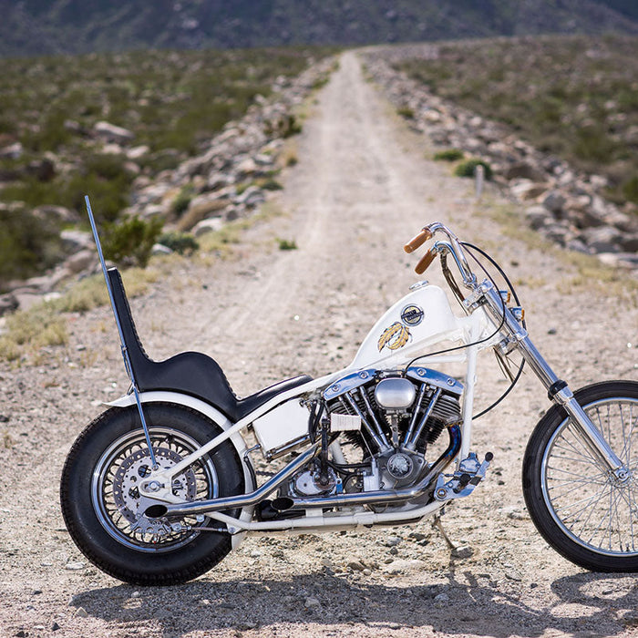 Custom Harley Davidson motorcycle