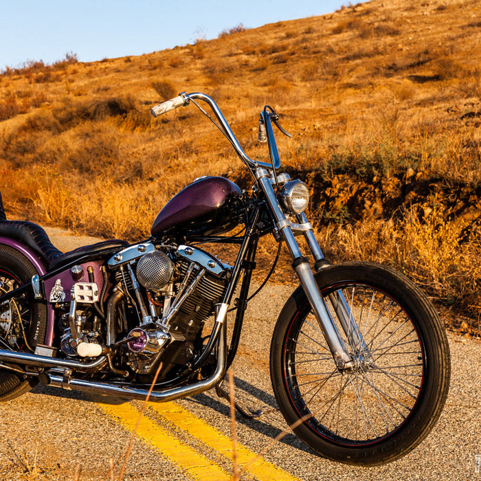 A photo of the purple shovelhead that is discussed in this post