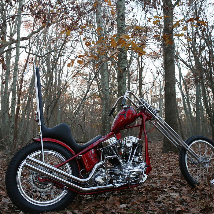 Panhead motorcycle