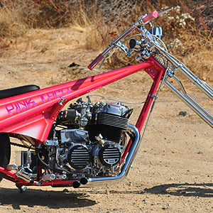 Pink taco bike side