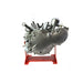 Replica Knucklehead Short Block 74 Natural - V-Twin 10-0957
