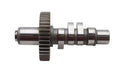 Andrews Andrews EV81 Grind Cam Shaft