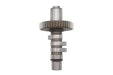 Andrews Andrews EV81 Grind Cam Shaft - additional view 4