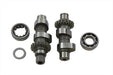Andrews Andrews Cam Set Early Gear Drive #60G