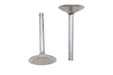 Ultima Ultima Intake Valve Stainless Steel