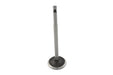 Sifton Steel Intake Valve