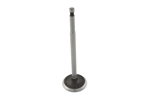 Sifton Steel Intake Valve