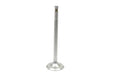 Sifton Steel Intake Valve
