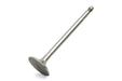 Sifton Steel Intake Valve - additional view 2