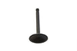 Sifton Nitrate Steel Intake Valve - additional view 2