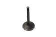 Sifton Nitrate Steel Intake Valve - additional view 3