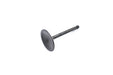 V-Twin Manufacturing 1000cc Nitrate Steel Intake Valve