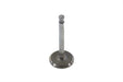 V-Twin Manufacturing 900/1000cc Chrome Exhaust Valve
