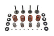 Sifton Nitrate Valve and Spring Kit