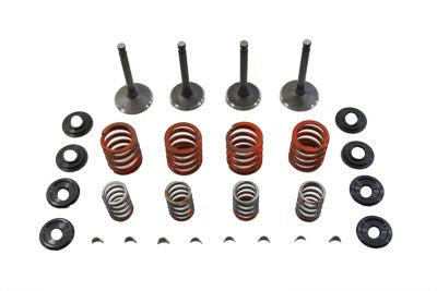 Sifton Nitrate Valve and Spring Kit