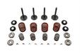Sifton Nitrate Valve and Spring Kit