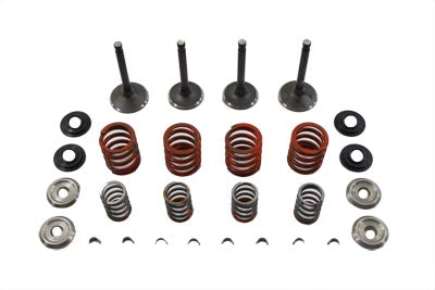 Sifton Nitrate Valve and Spring Kit