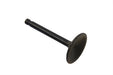 Sifton Nitrate Steel Intake Valve - additional view 2