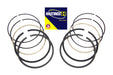 Hastings Rings 1690cc Piston Ring Set.010 Oversize