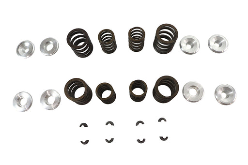 Sifton Sifton XL Valve Spring Kit - additional view 2