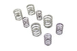 Kibblewhite Kibblewhite Stock Replacement Valve Spring Set - additional view 4