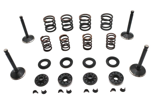Kibblewhite Kibblewhite Valve and Spring Kit