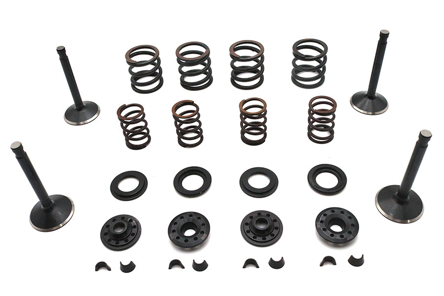 Kibblewhite Kibblewhite Valve and Spring Kit