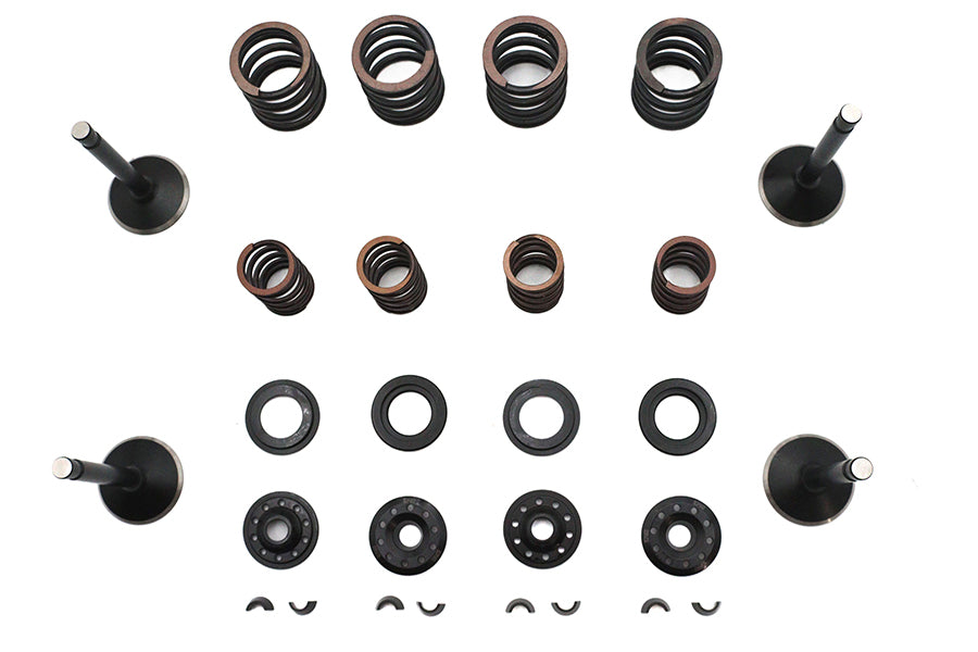 Kibblewhite Kibblewhite Valve and Spring Kit - additional view 2
