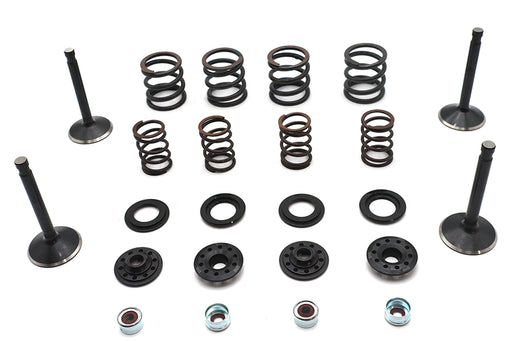 Kibblewhite Kibblewhite Valve and Spring Kit