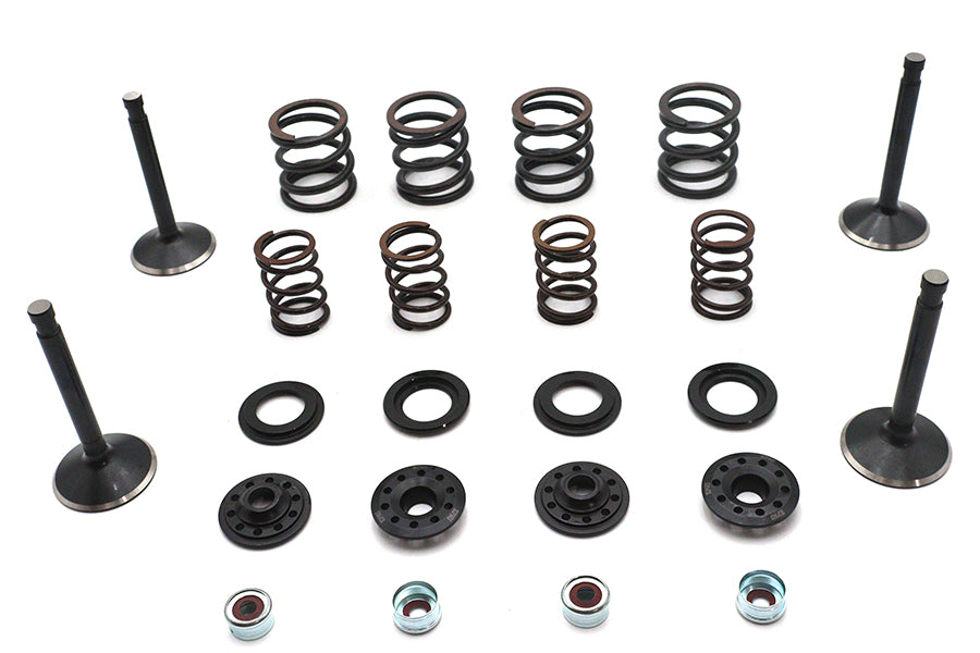 Kibblewhite Kibblewhite Valve and Spring Kit