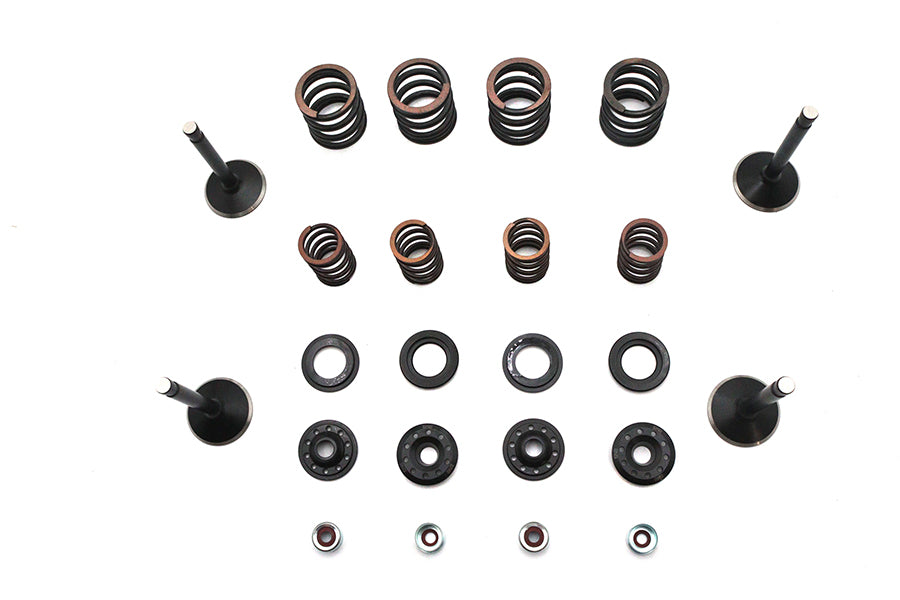 Kibblewhite Kibblewhite Valve and Spring Kit - additional view 2