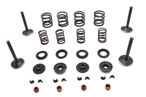 Kibblewhite Kibblewhite Valve and Spring Kit