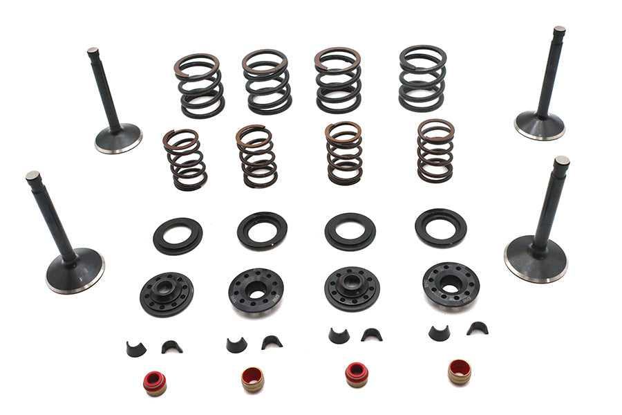 Kibblewhite Kibblewhite Valve and Spring Kit