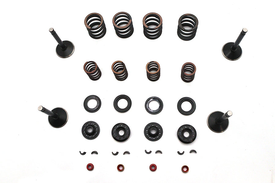 Kibblewhite Kibblewhite Valve and Spring Kit - additional view 2