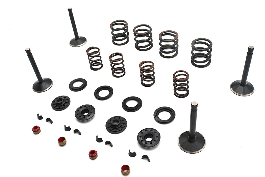 Kibblewhite Kibblewhite Valve and Spring Kit - additional view 3