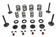 Kibblewhite Kibblewhite Valve and Spring Kit
