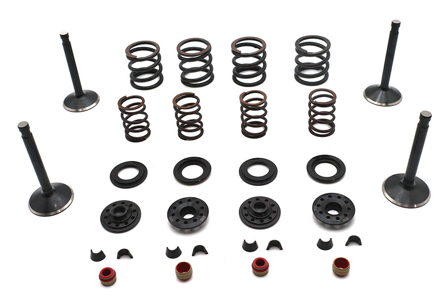 Kibblewhite Kibblewhite Valve and Spring Kit