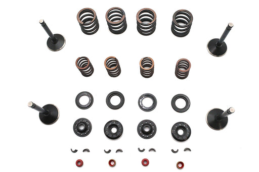 Kibblewhite Kibblewhite Valve and Spring Kit - additional view 2