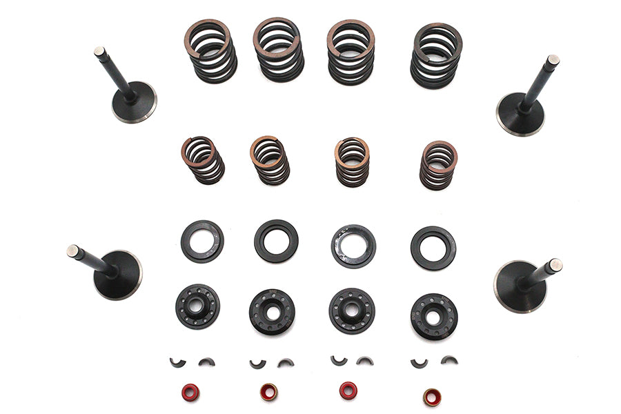 Kibblewhite Kibblewhite Valve and Spring Kit - additional view 2