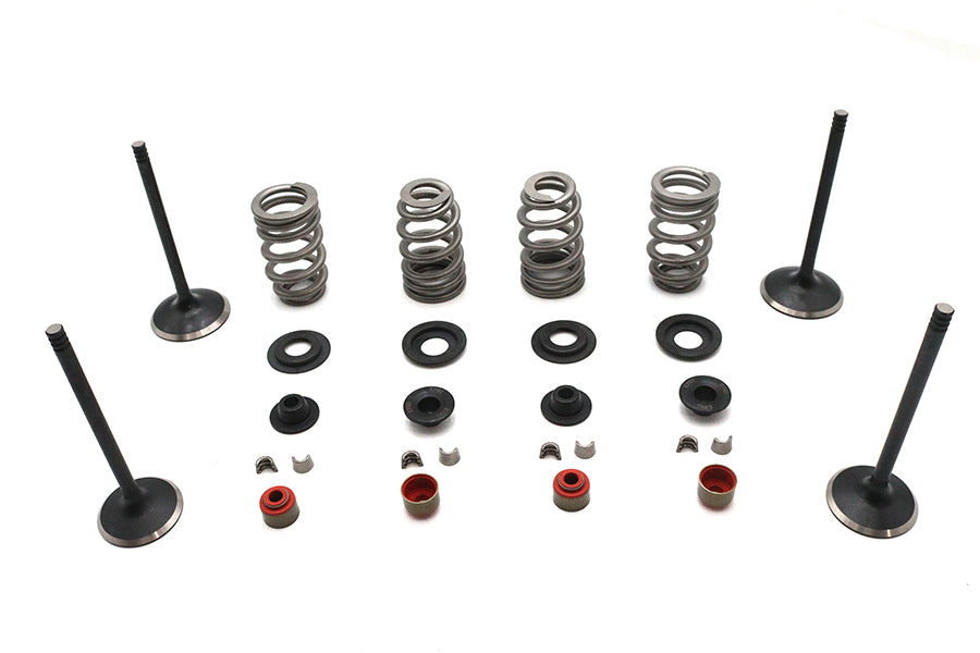 Kibblewhite Kibblewhite Valve and Spring Kit