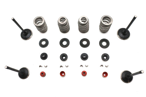 Kibblewhite Kibblewhite Valve and Spring Kit - additional view 2
