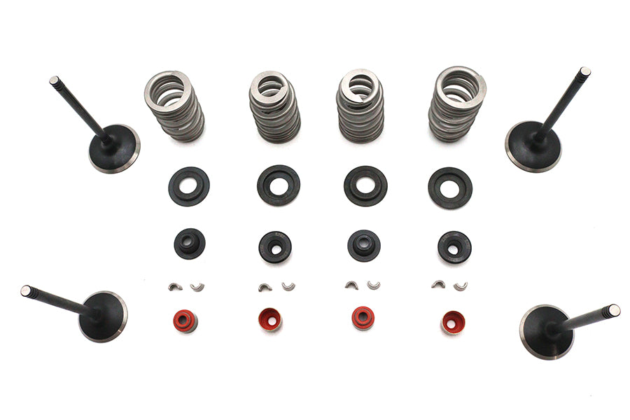 Kibblewhite Kibblewhite Valve and Spring Kit - additional view 2