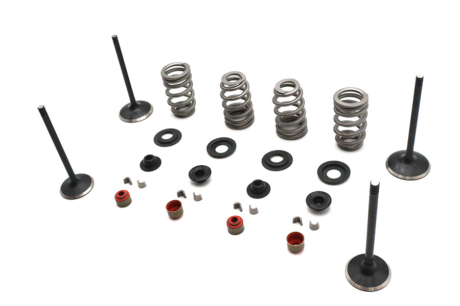 Kibblewhite Kibblewhite Valve and Spring Kit - additional view 3