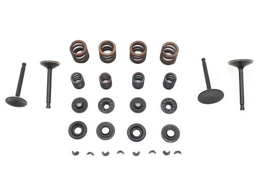 Kibblewhite Kibblewhite Valve and Spring Kit