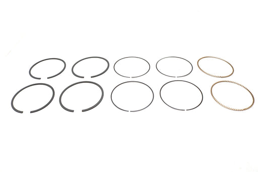 Hastings Rings 95 Big Bore Twin Cam Piston Ring Set.020"