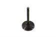 Kibblewhite 900cc Stainless Black Diamond Intake Valve