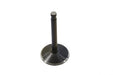 Kibblewhite 2.00 Black Diamond Nitrate Intake Valve