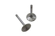 Manley Stainless Steel Intake Valve