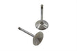 Manley 900cc Stainless Steel Intake Valve