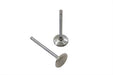 Manley 883cc Stainless Steel Intake Valves